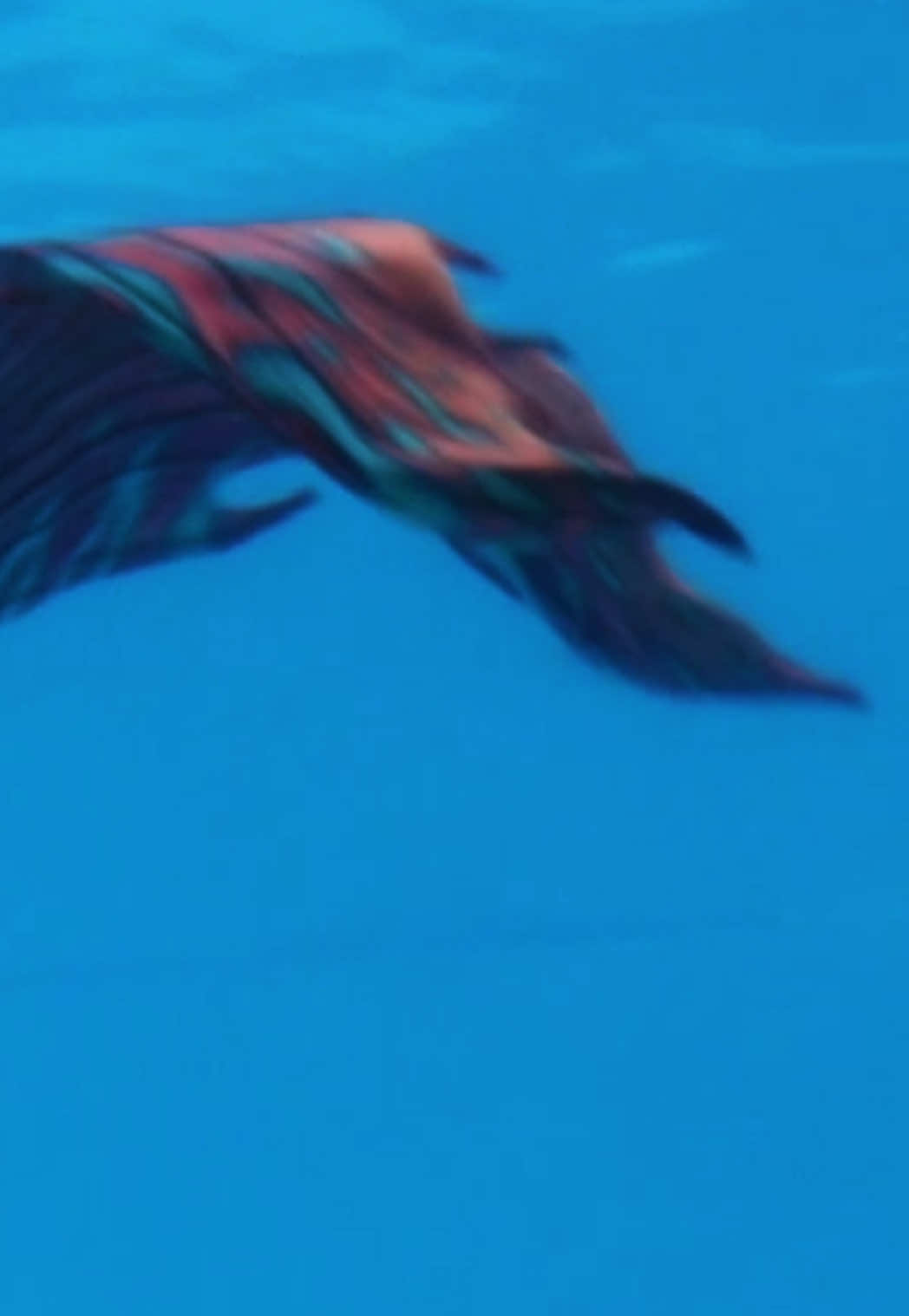 @Muse the Mermaid