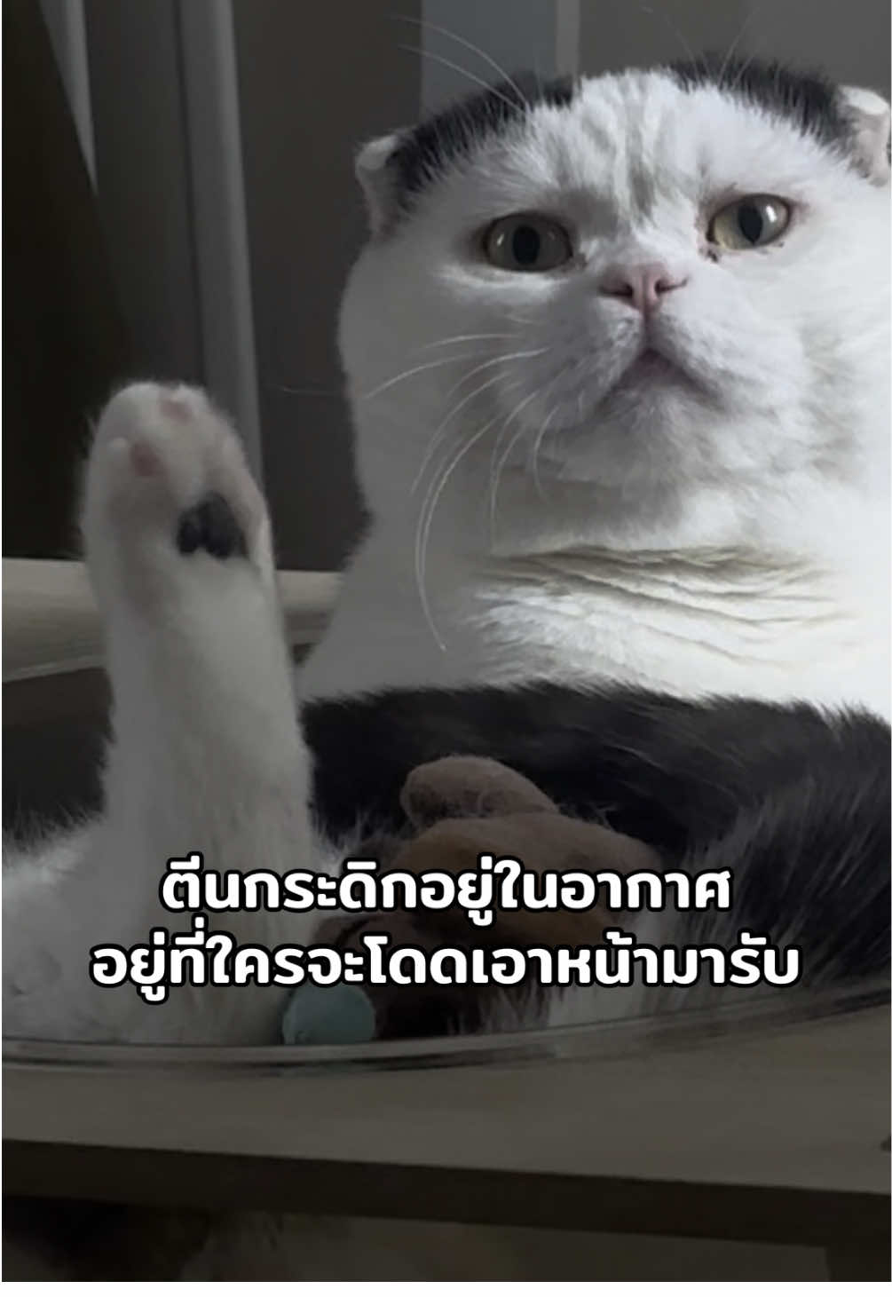 @เยอร์เก้นอยากเป็นดารา
