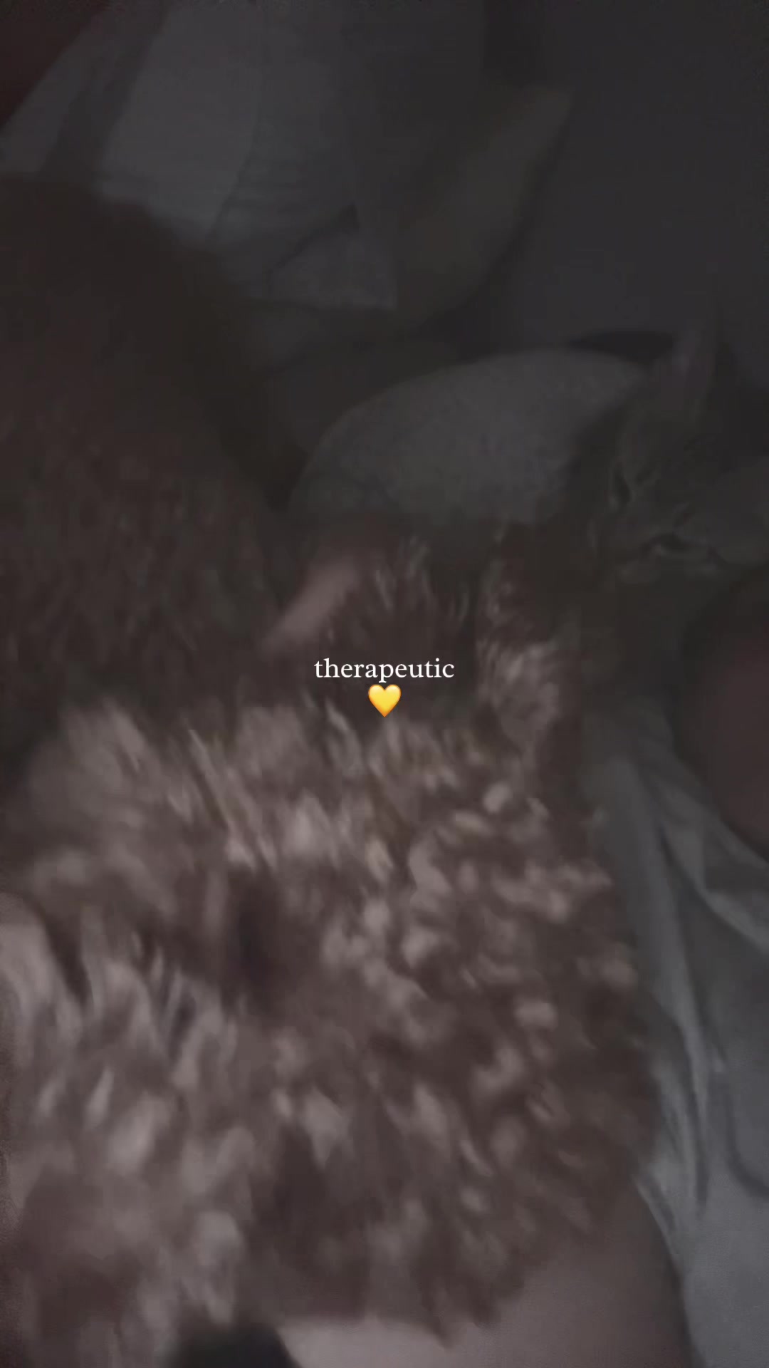 @SaraIacobino02