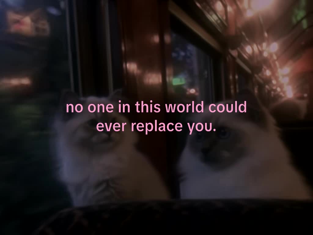 @mond