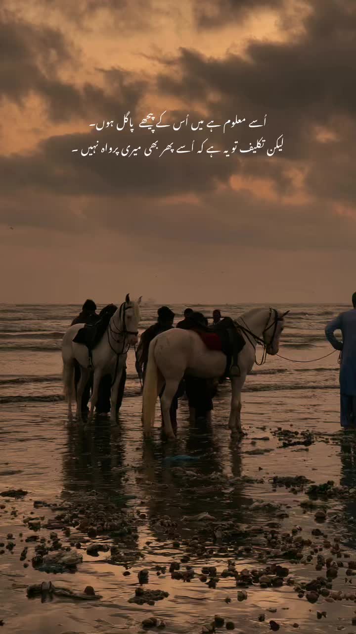 @راجہ خیام ۔💔
