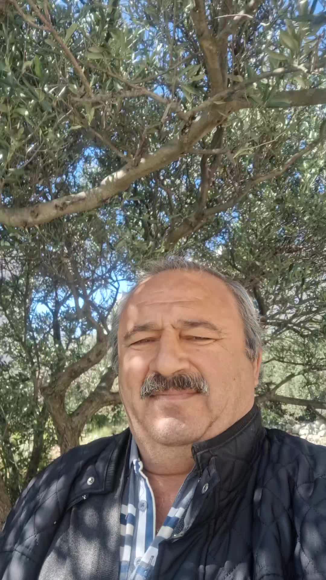 @alattin öztürk