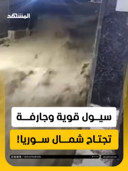 @Al Mashhad المشهد