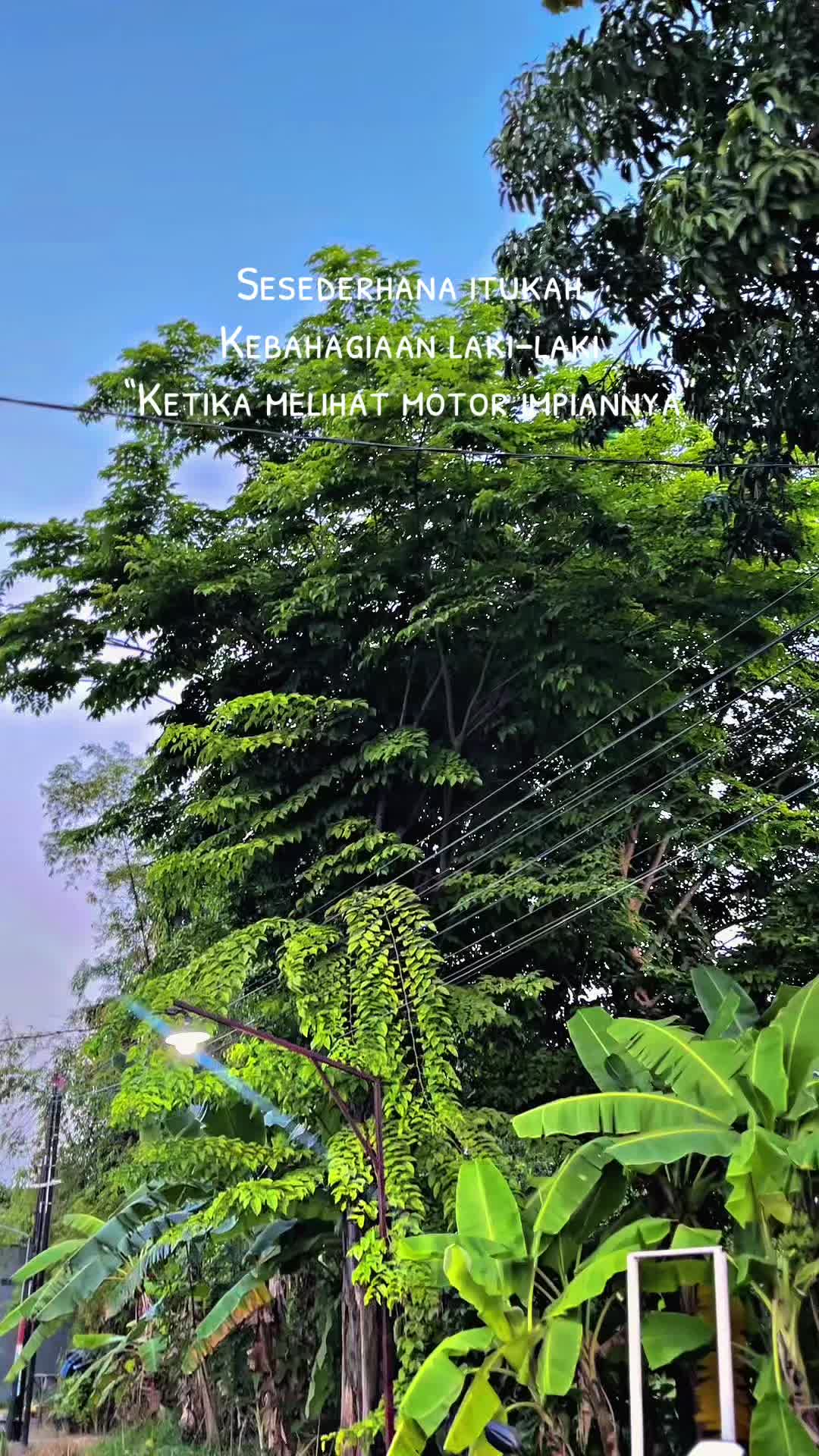 @Njajal2tak