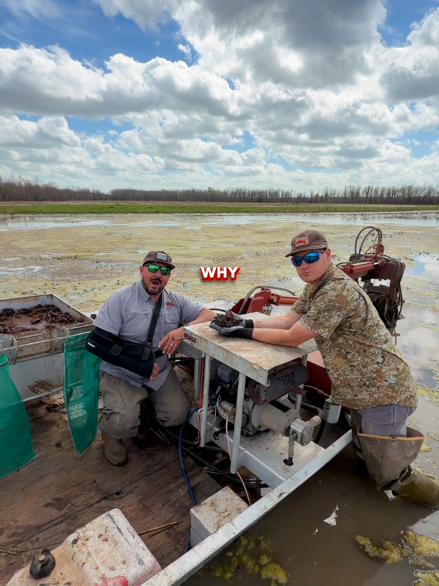 @louisianacrawfishco