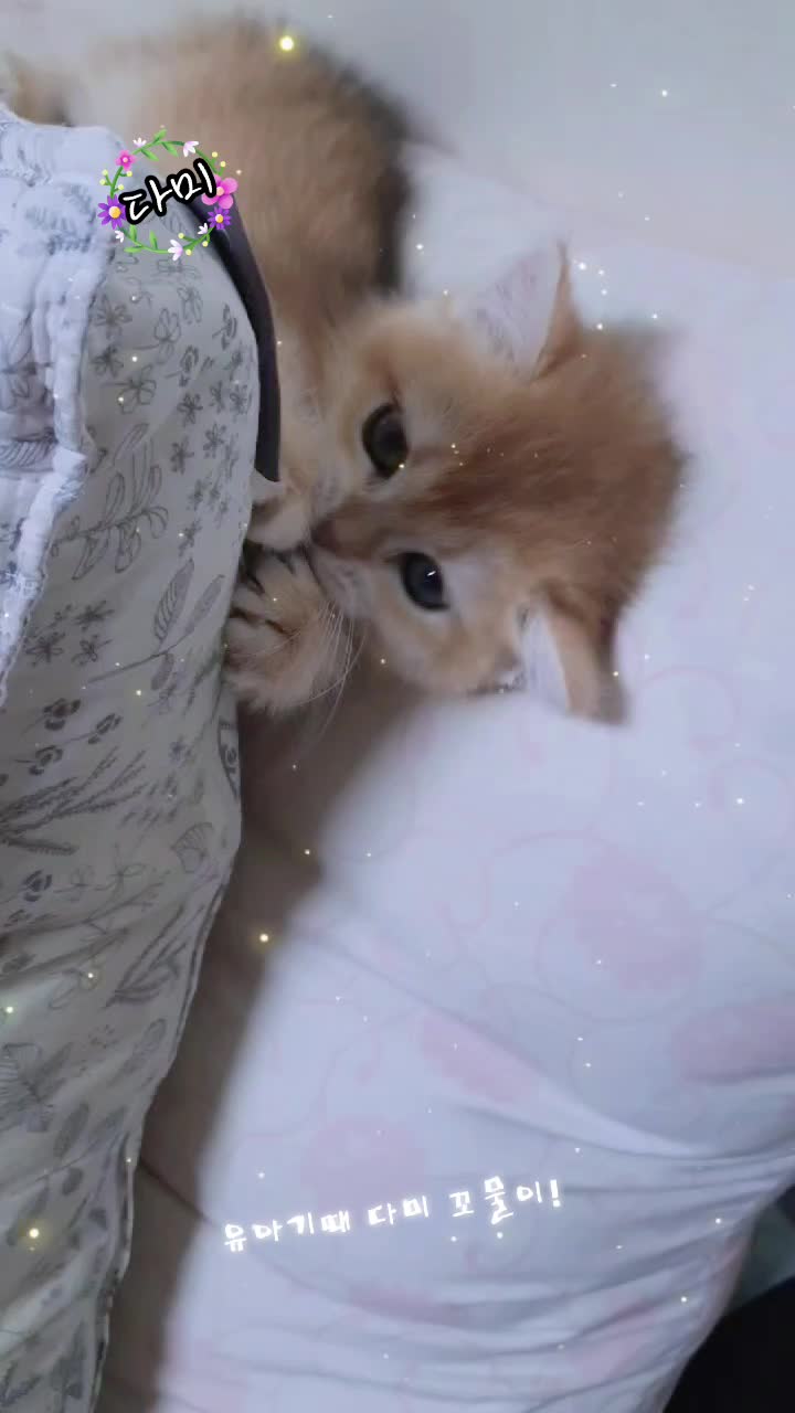 @올마인드