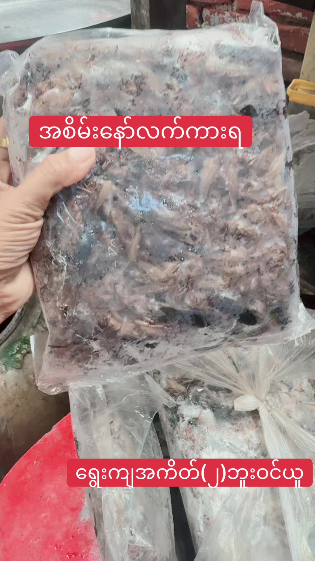 @đŚááááşáááşáᏠááŻáá
áşááźáąáŹáşđŚ