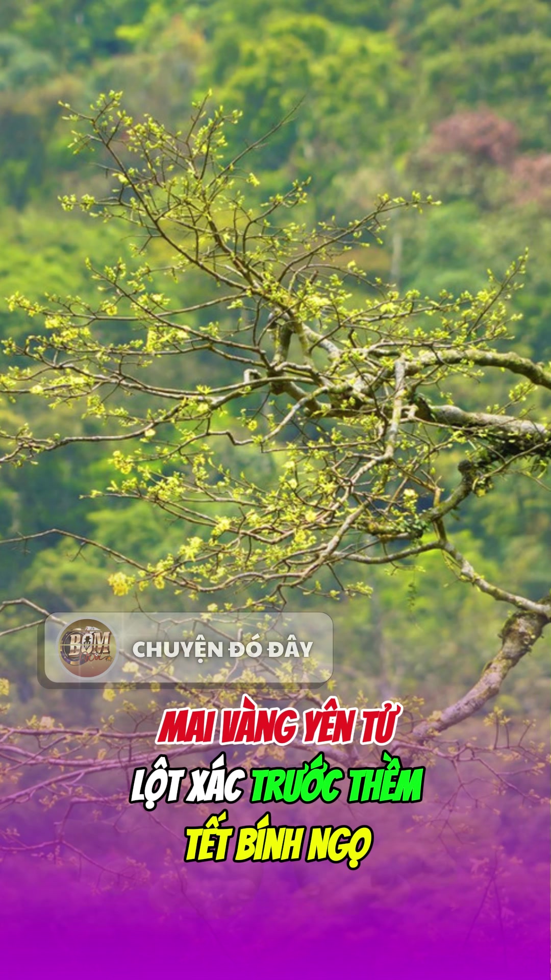 @Chuyện đ&oacute; đ&acirc;y