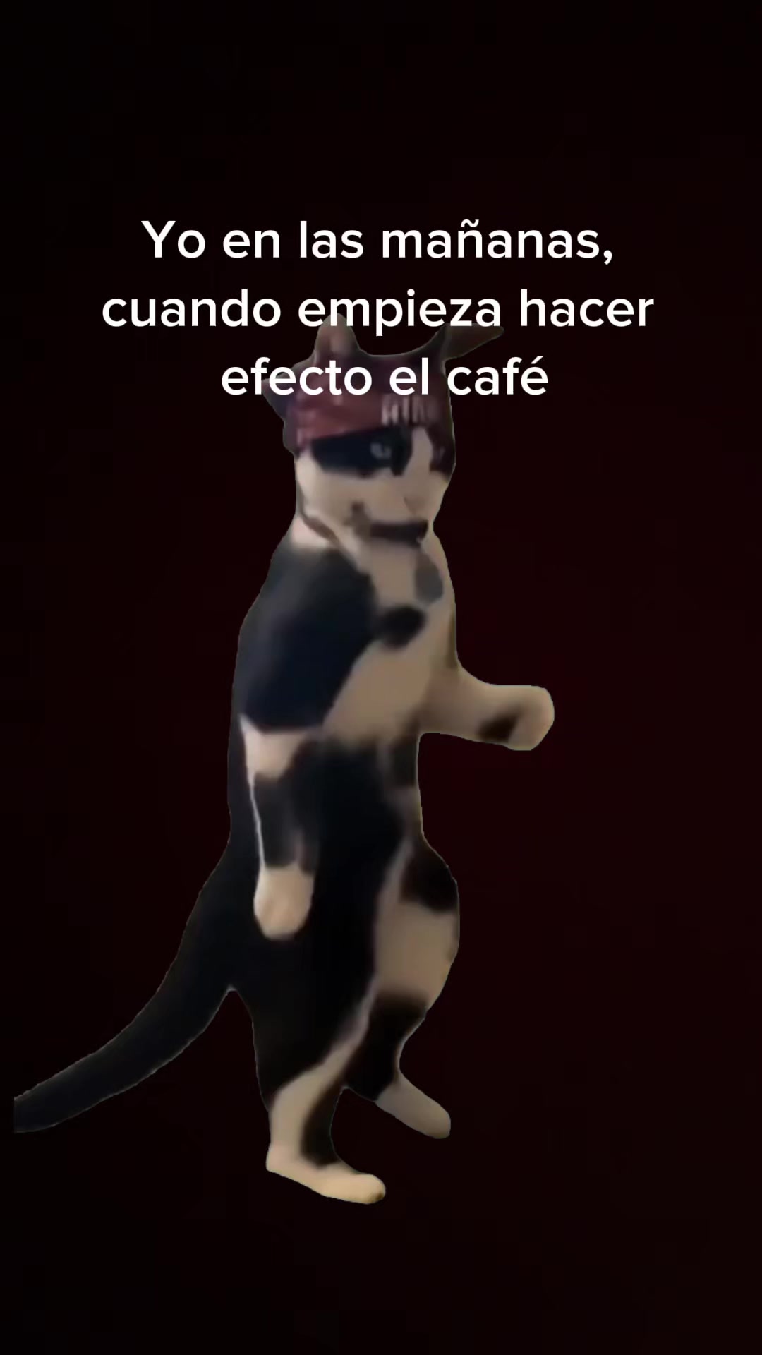 @🎀Zaiti🤍☘️🎀