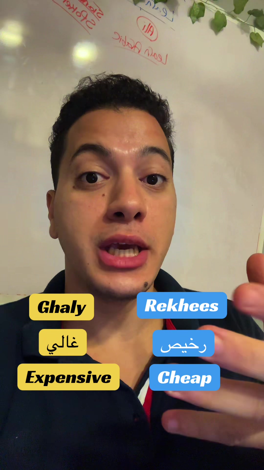 @speakarabi