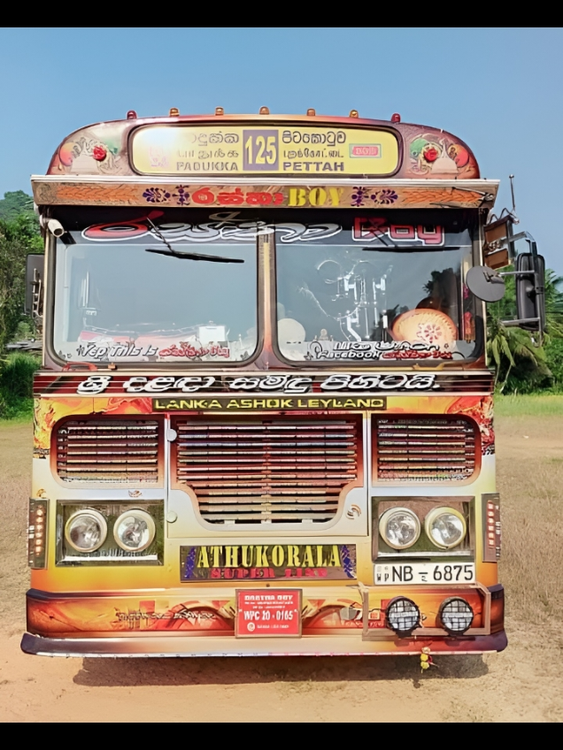 @Achira Bus Kingdom