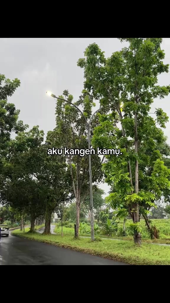 @mas git