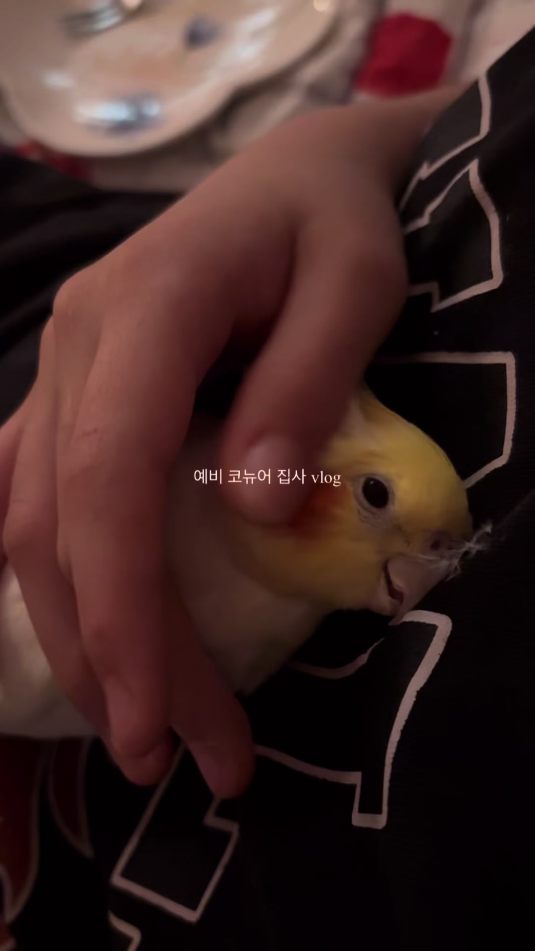 @• 온도