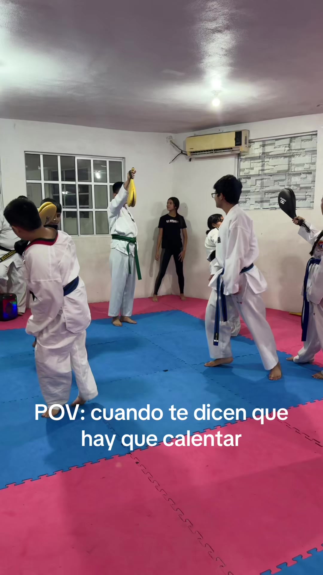 @taekwondolionsteam