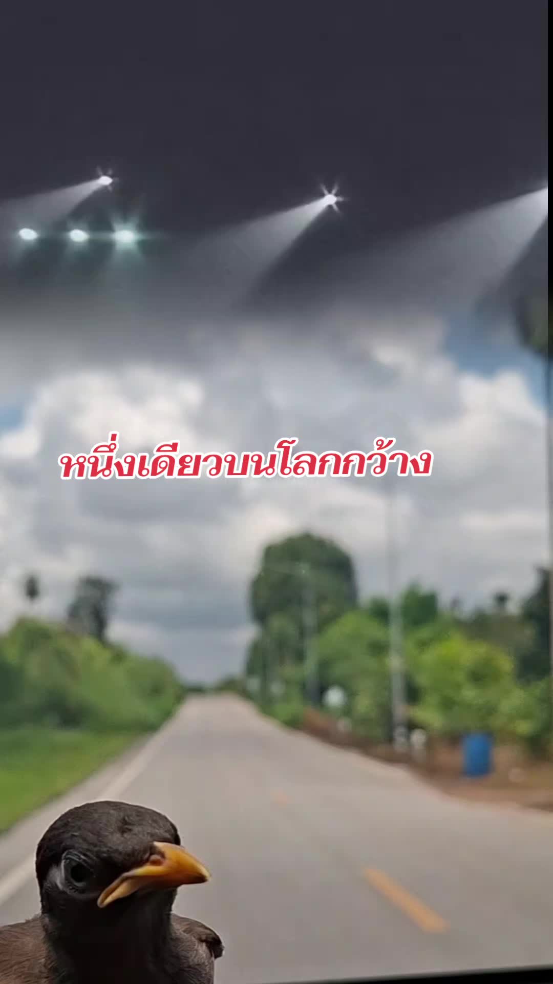 @หนึ่งเดียวบนโลกกว้าง