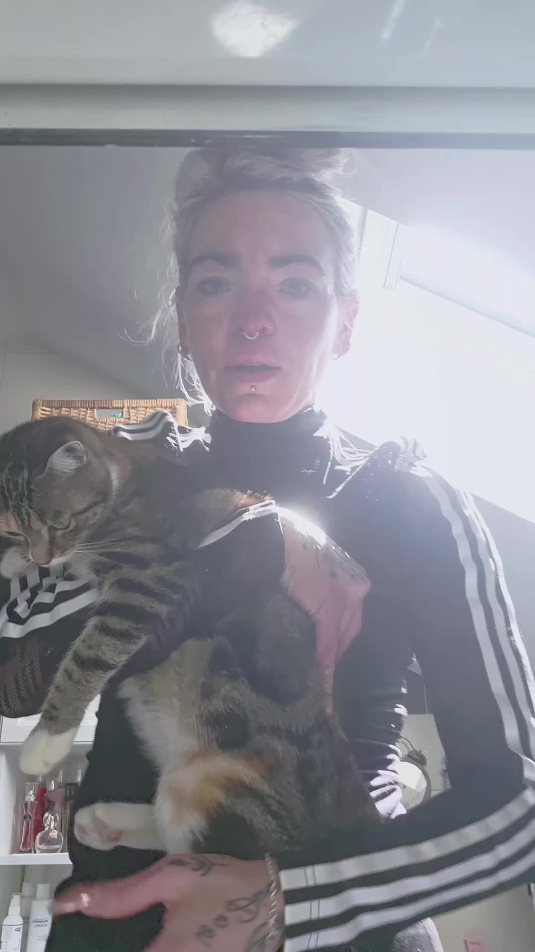 @diana🐱🐈🐈🐈