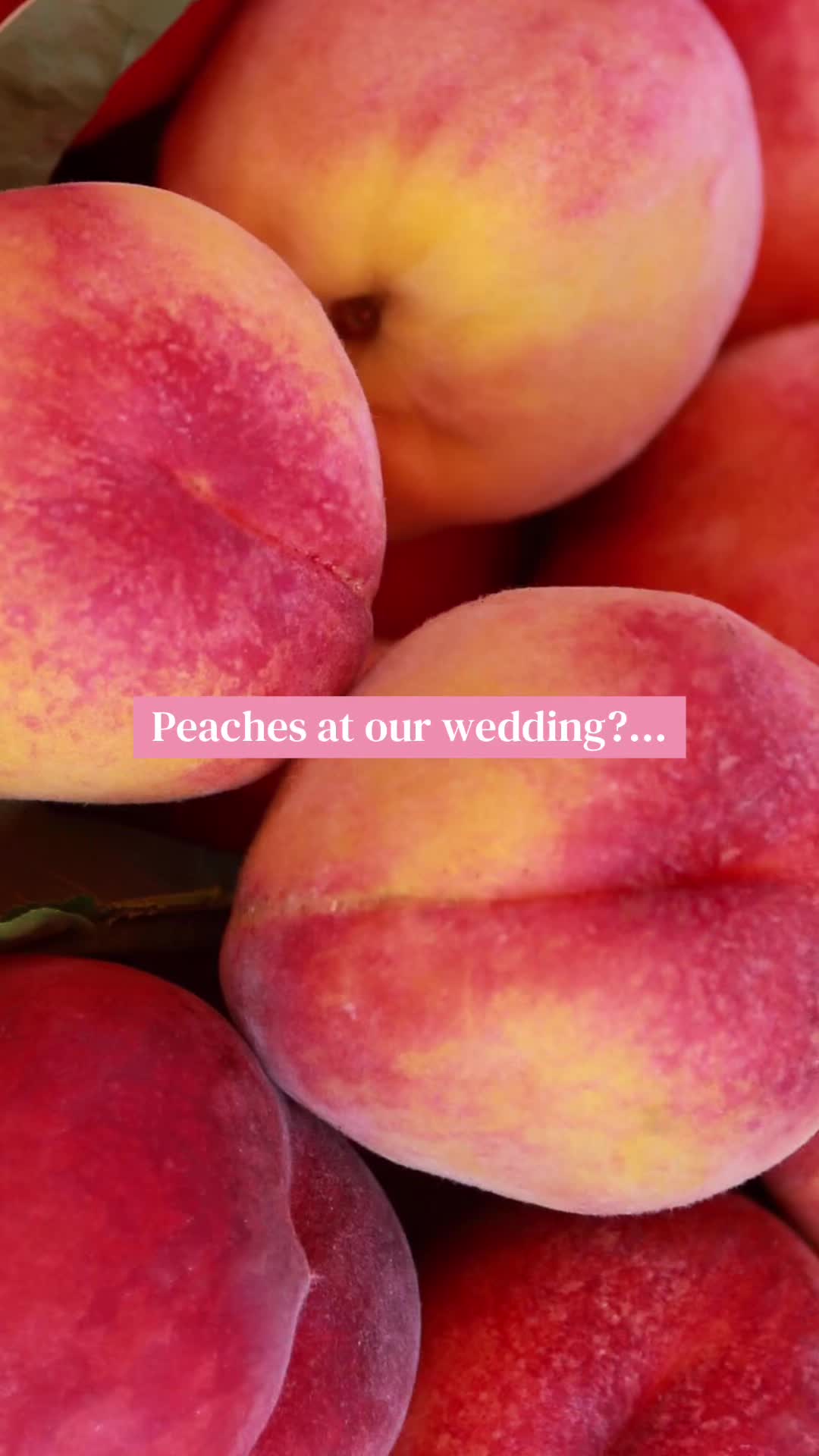 @Hall Farms Weddings and Events