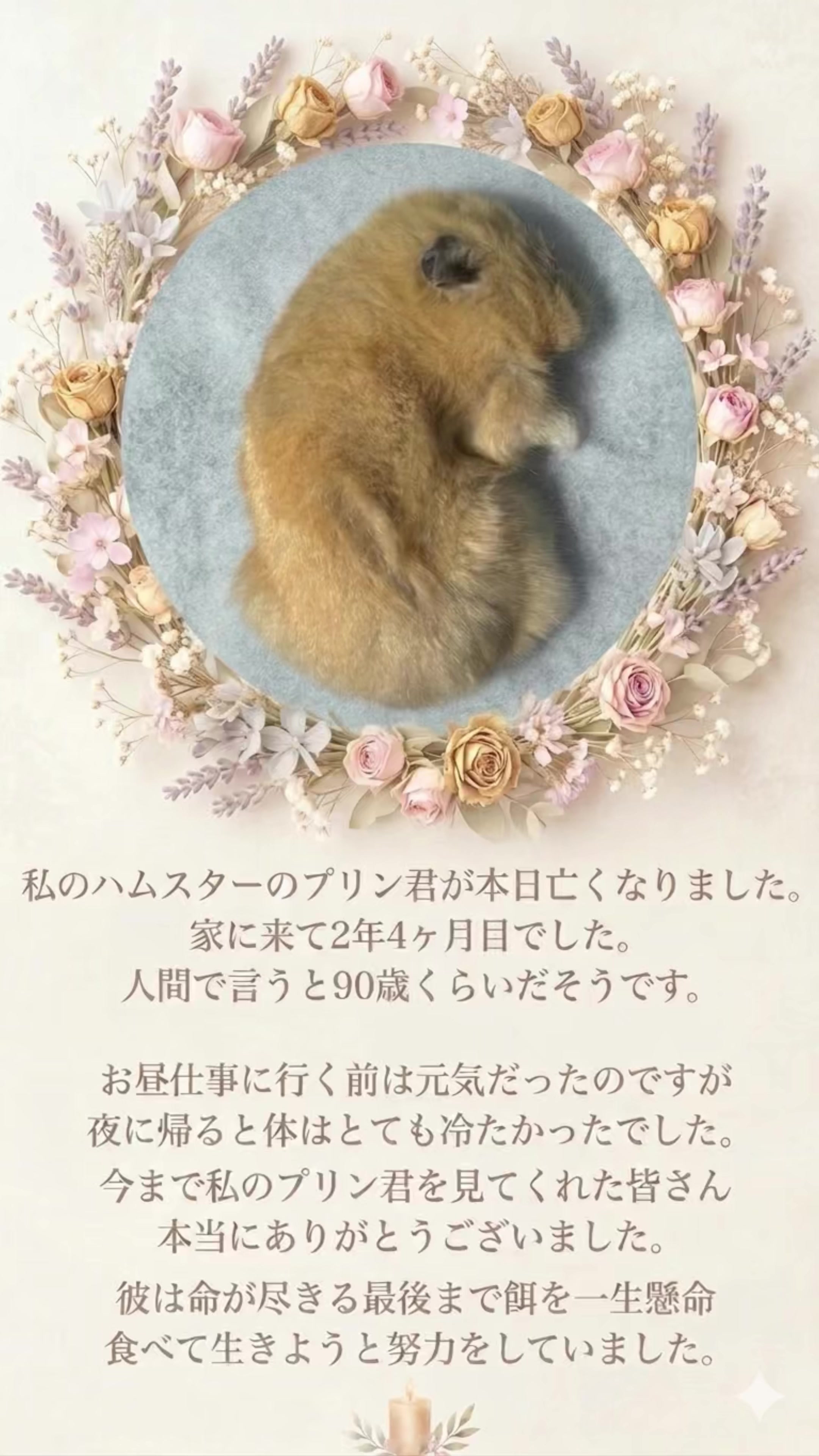 @ใใ P๐๐