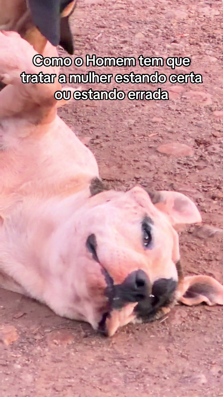 @Geandra Bazzanella
