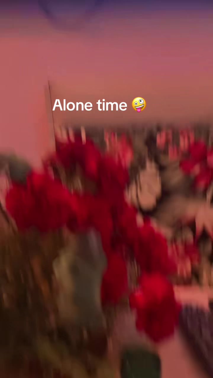 @🤍Ai Robin_11🤍