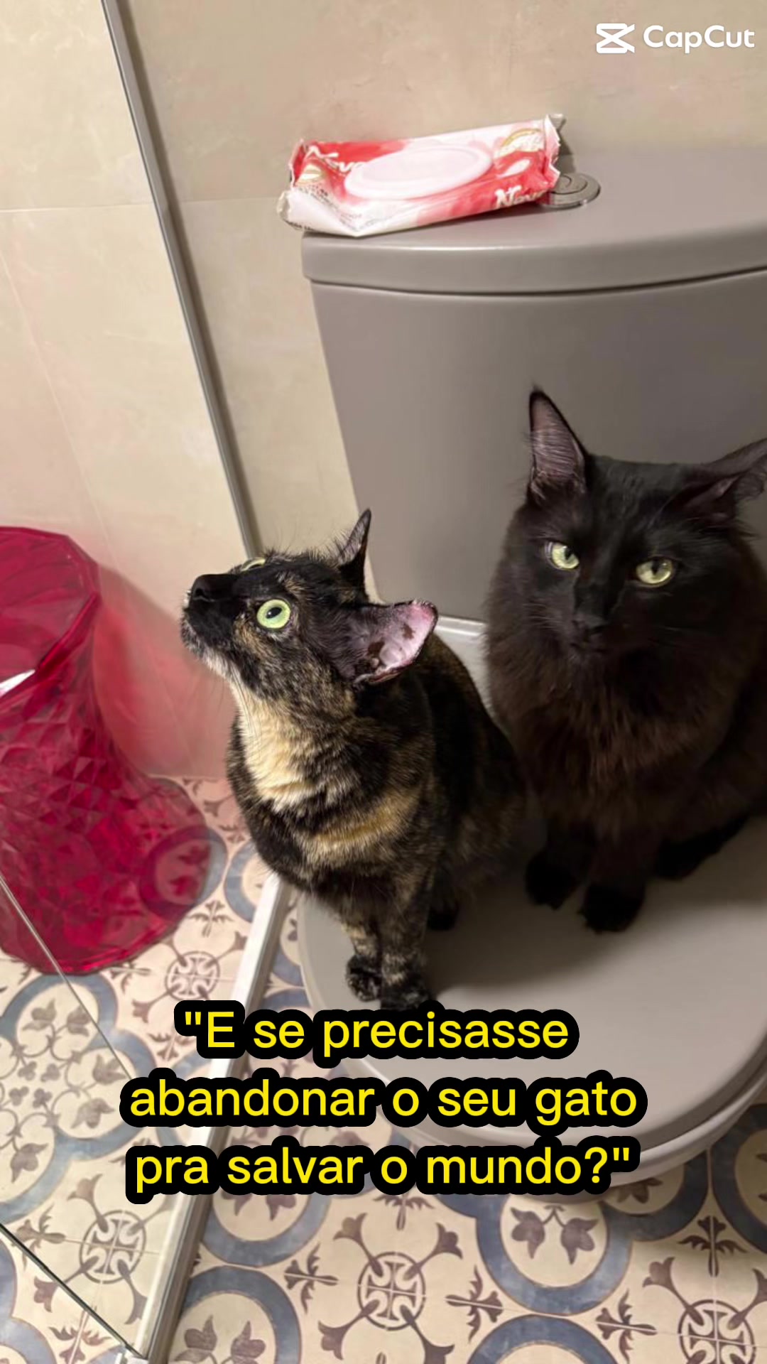 @Regiane Tosatti