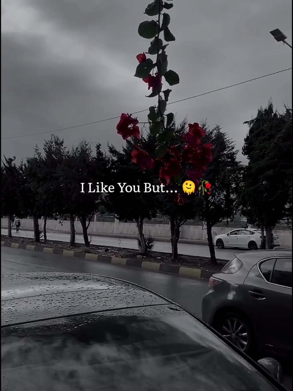 @𝘼𝙐𝙉 𝙓 𝙀𝘿𝙄𝙏𝙕