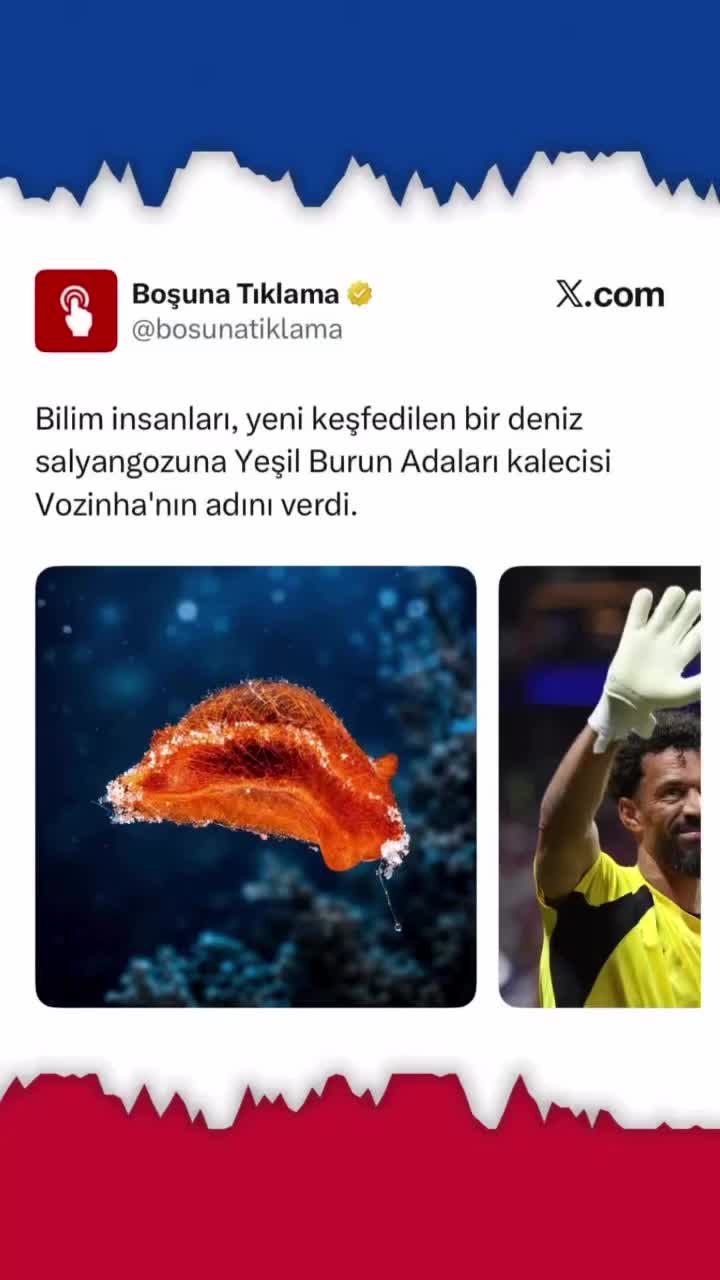 @Futbolfeedleri
