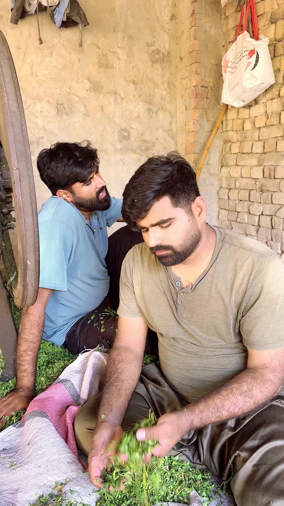 @Doodhwaly1 live