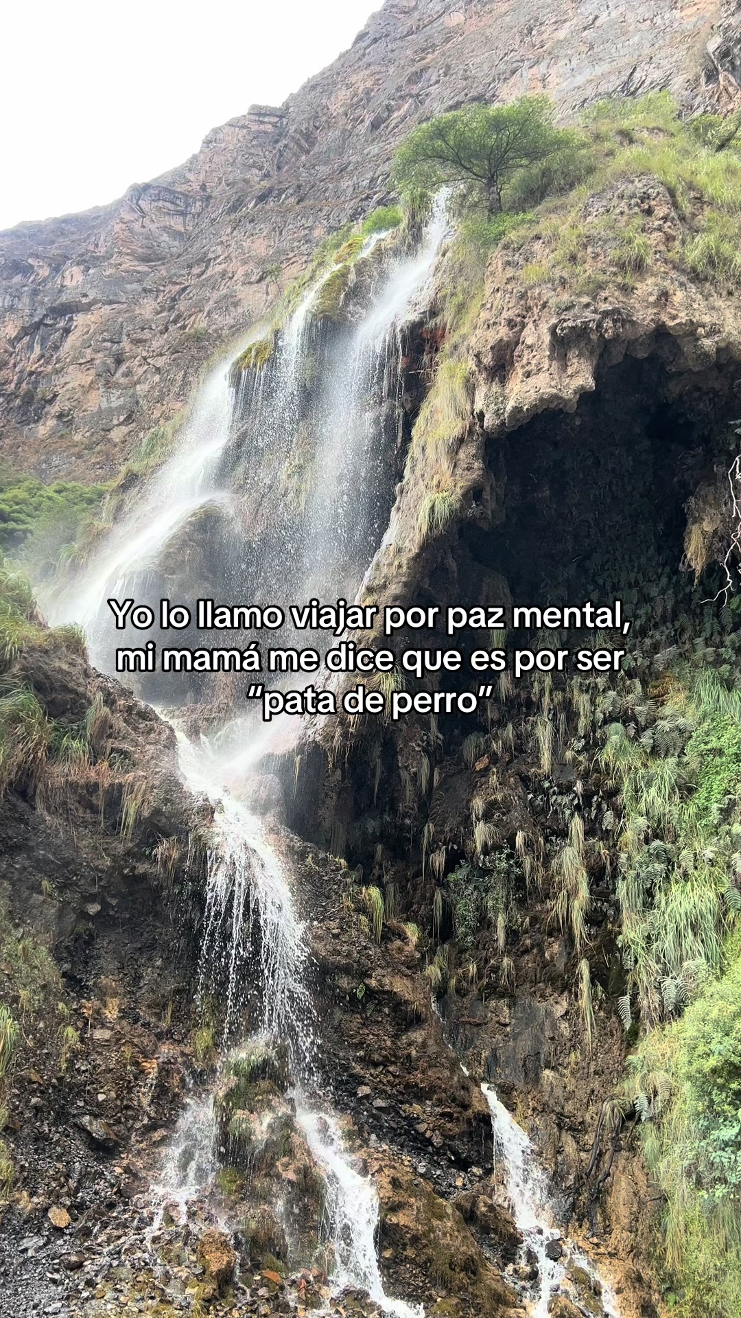 @Jahaira García