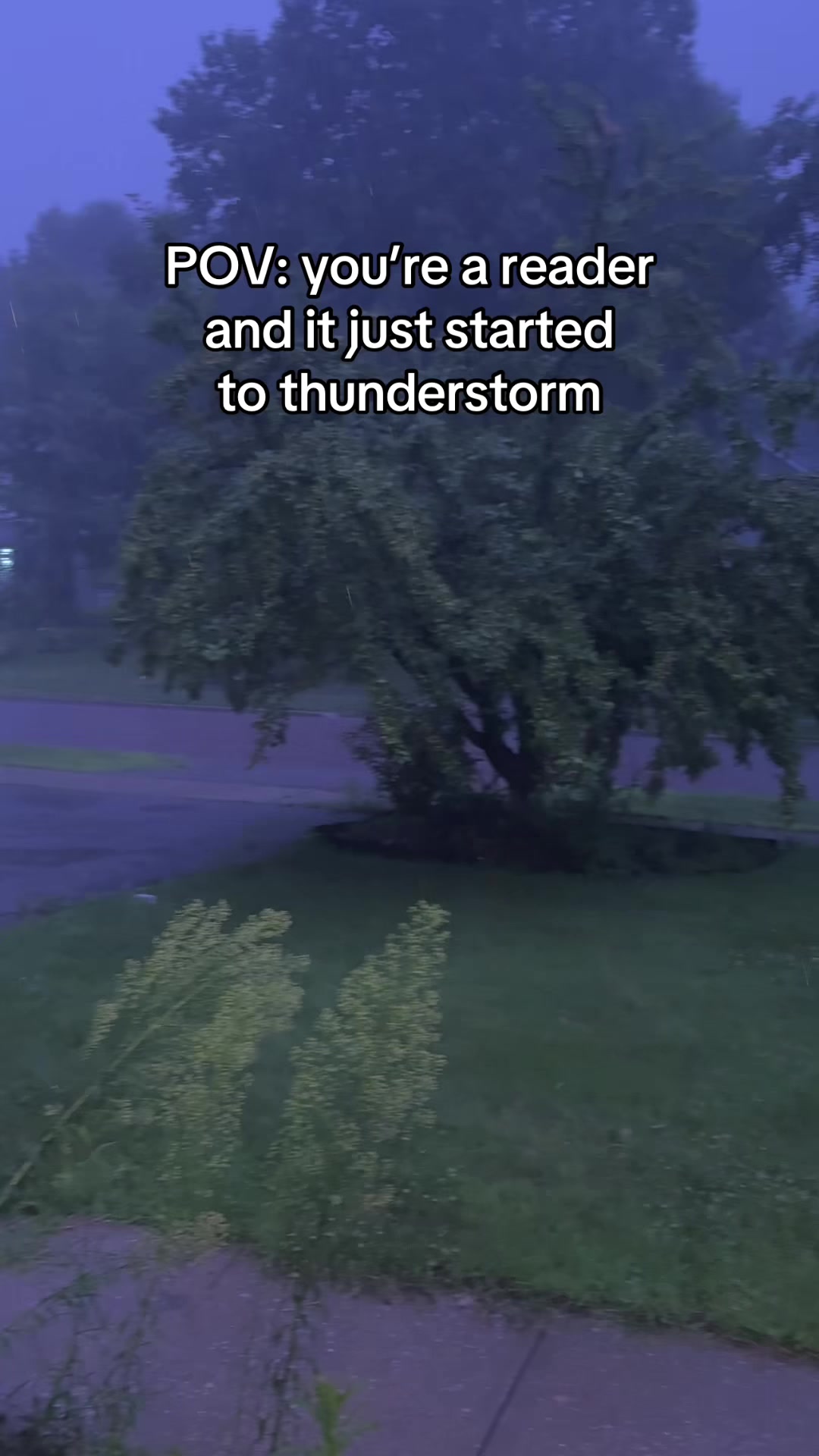 @Yaz🫶🏾📚