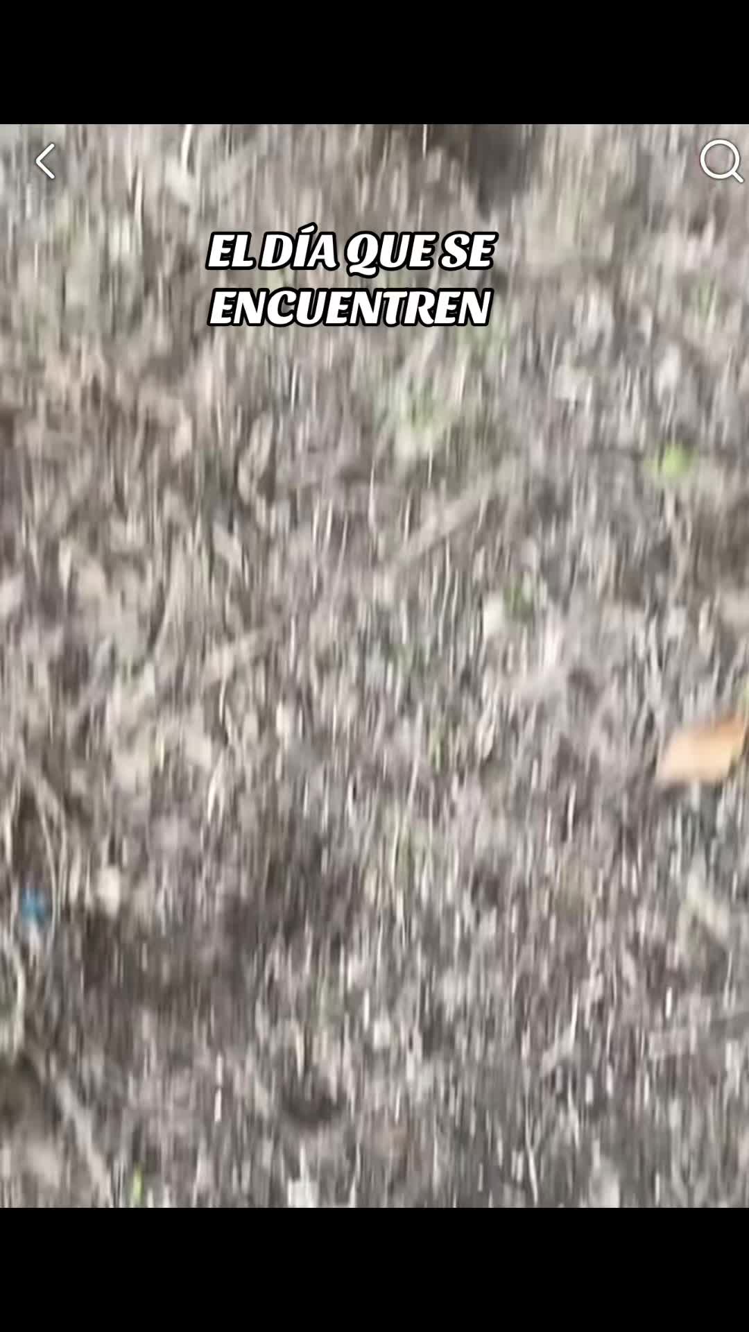 @elchacho35