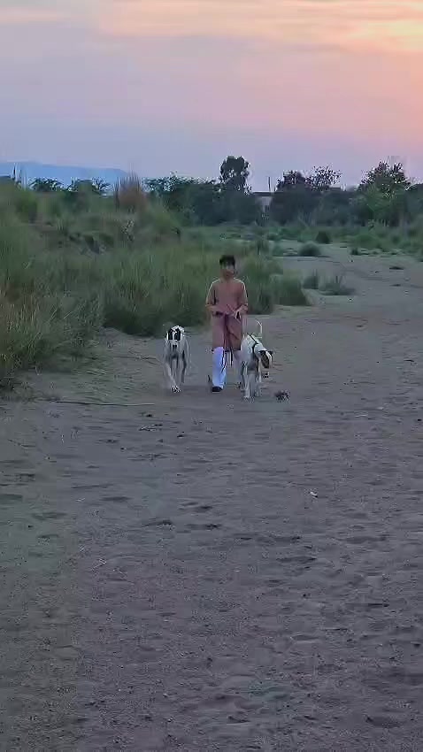 @جٹ ہنٹنگ کلب گڑھا جٹاں
