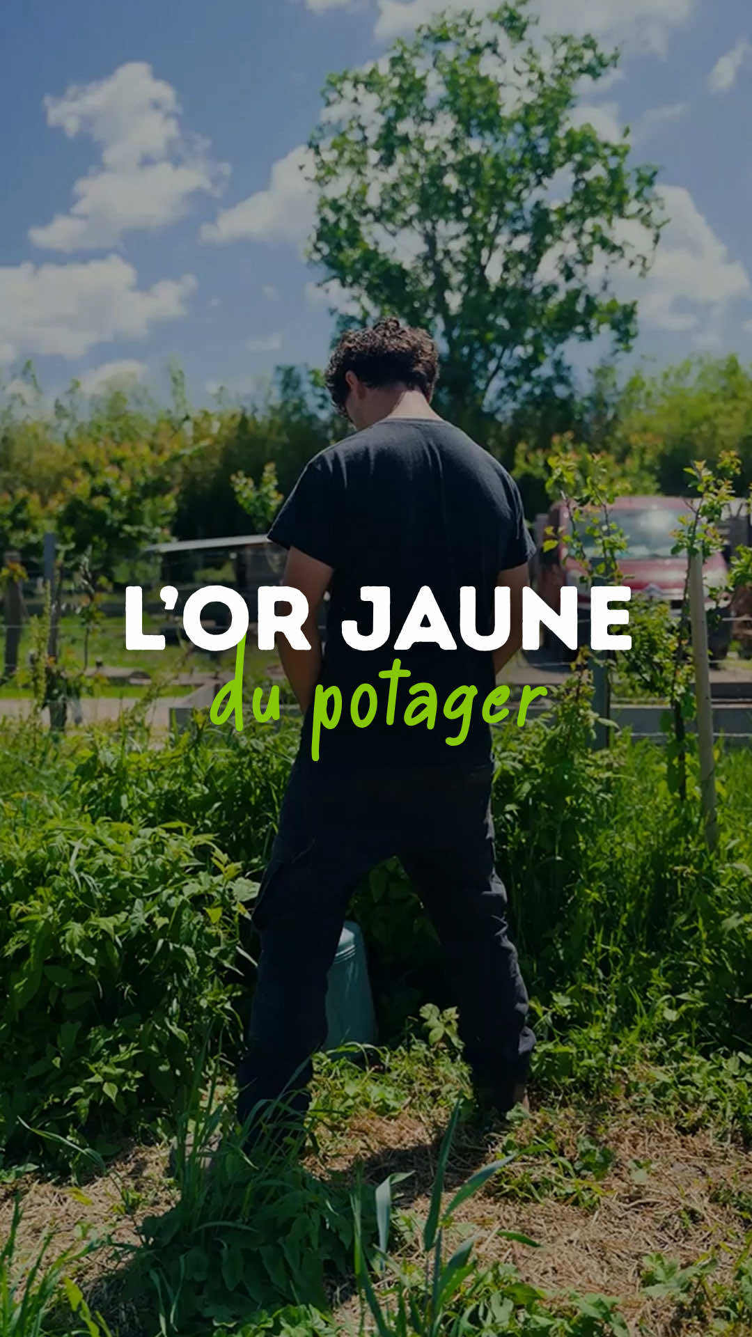 @Goran Le Permaculteur