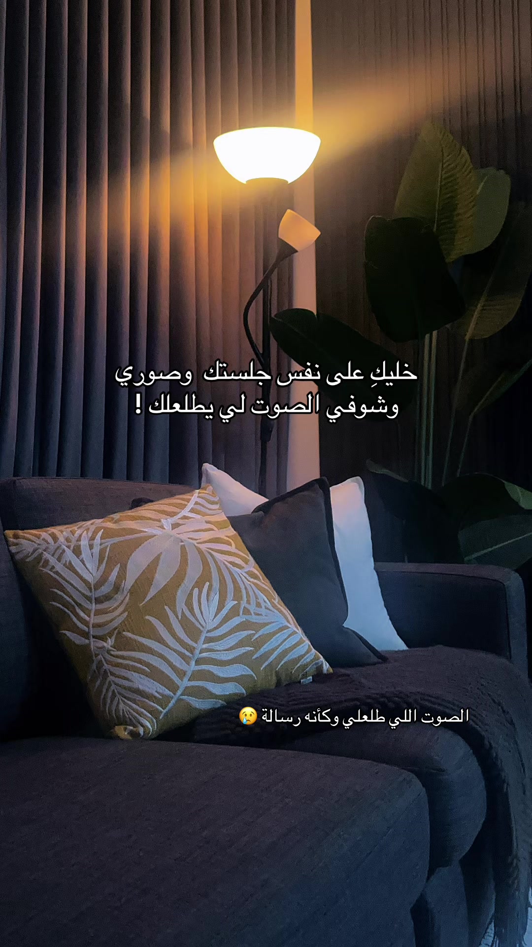 @Ms.HaneenAlhddad
