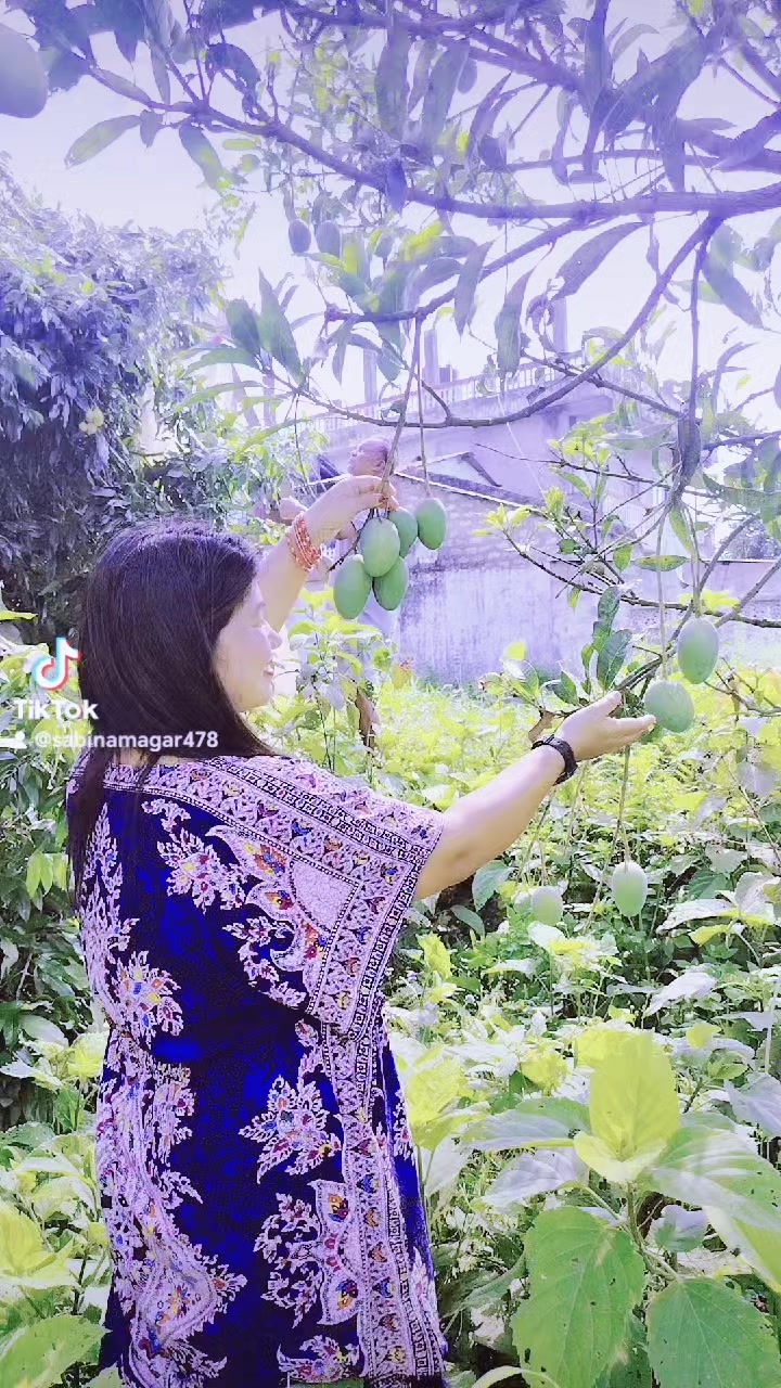 @SabinaThapaMagar4448