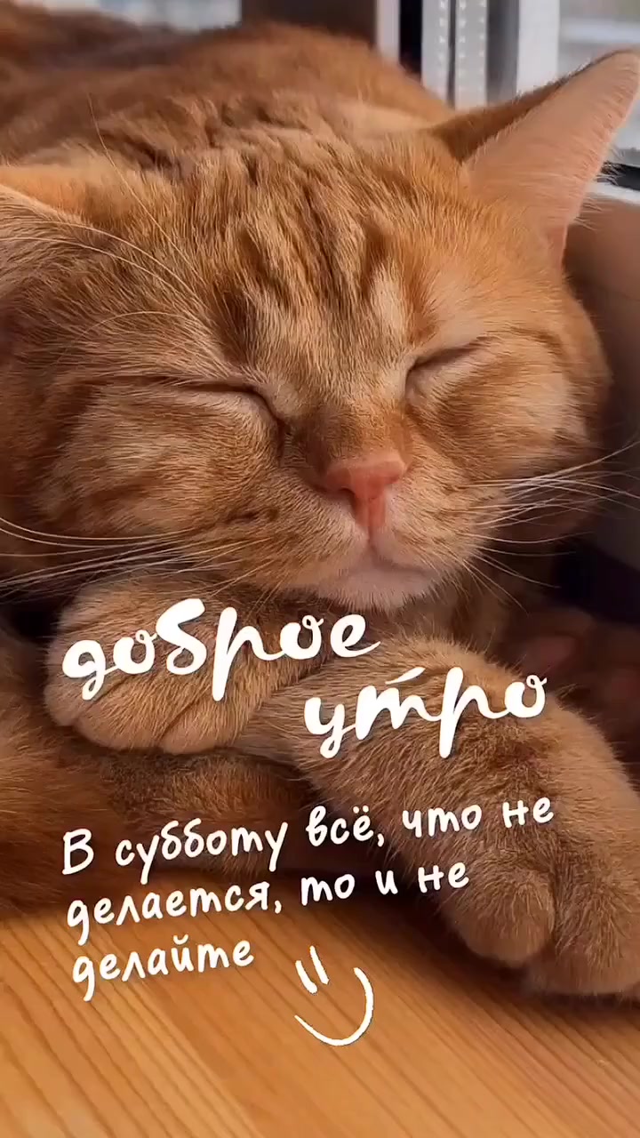 @sveta-schischmakova