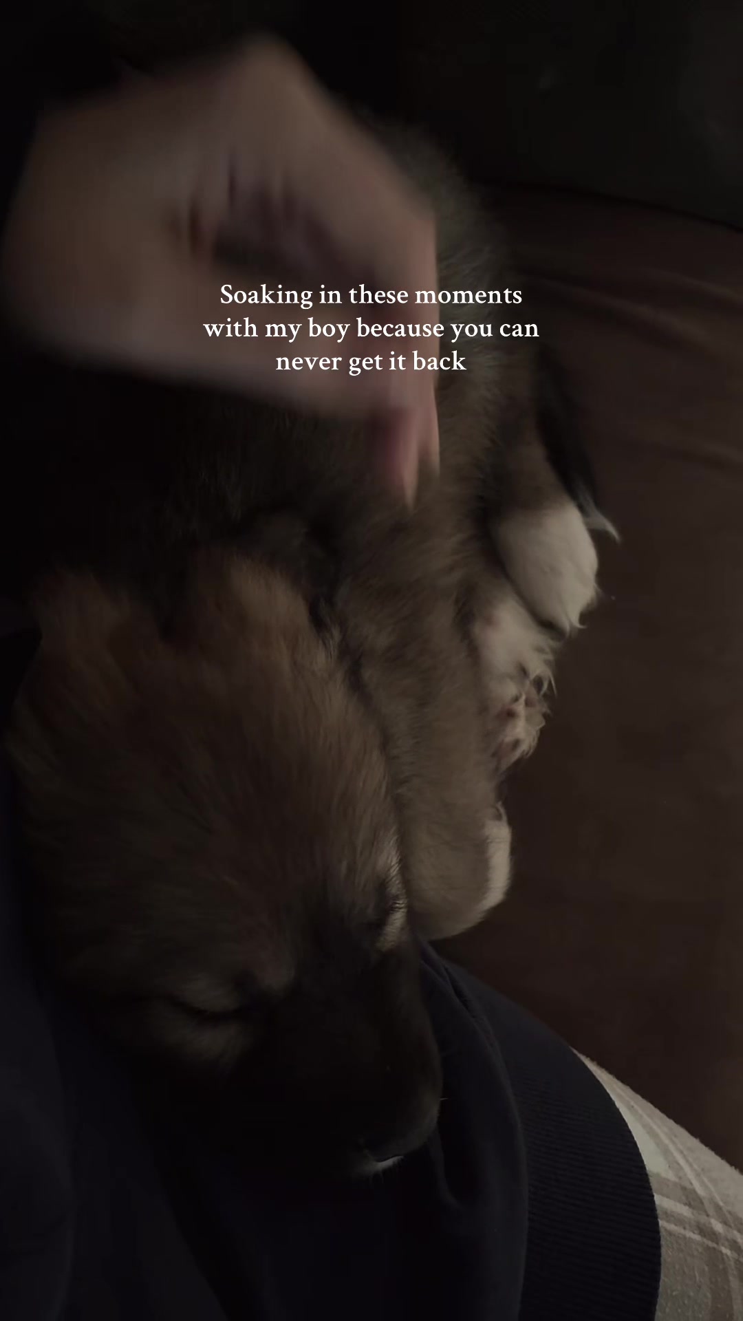 @Ems