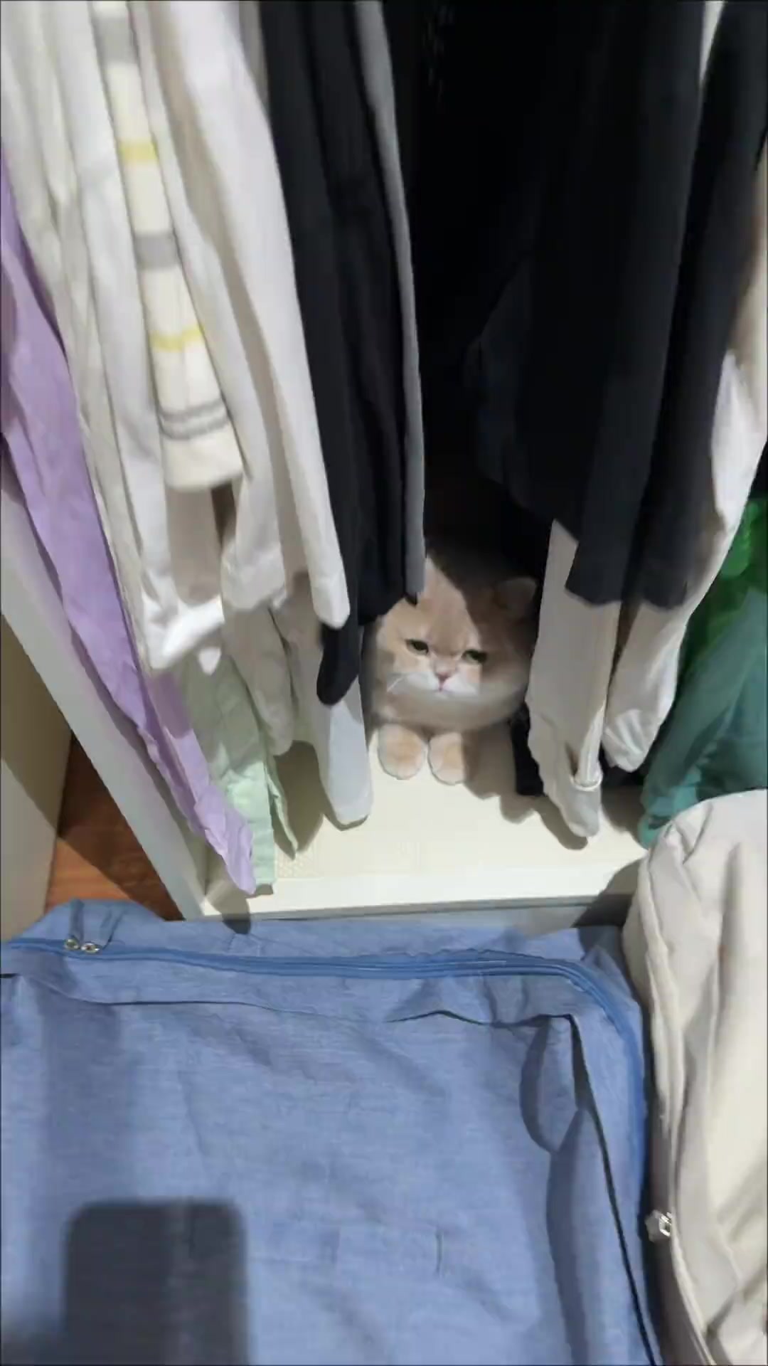 @trạm cute