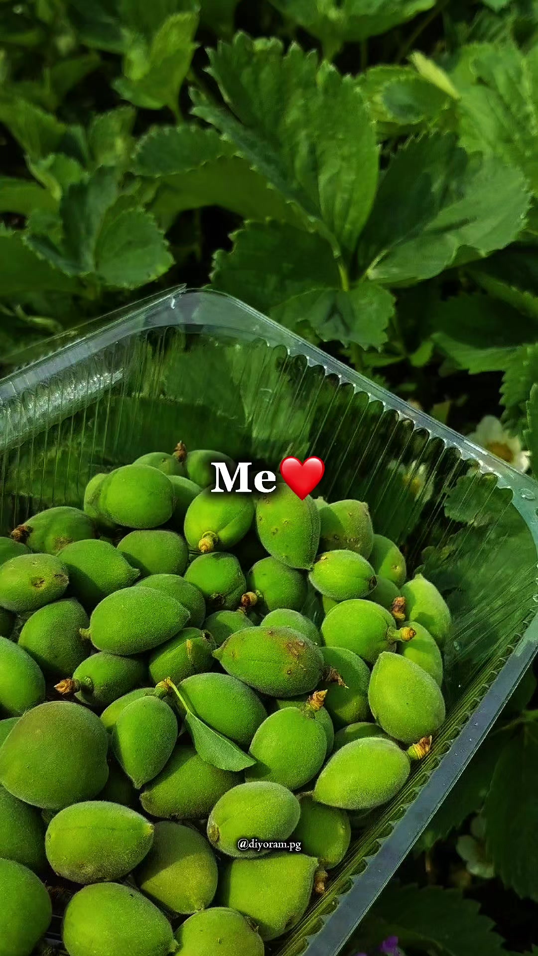 @Kibrxooon🐍Content Creator