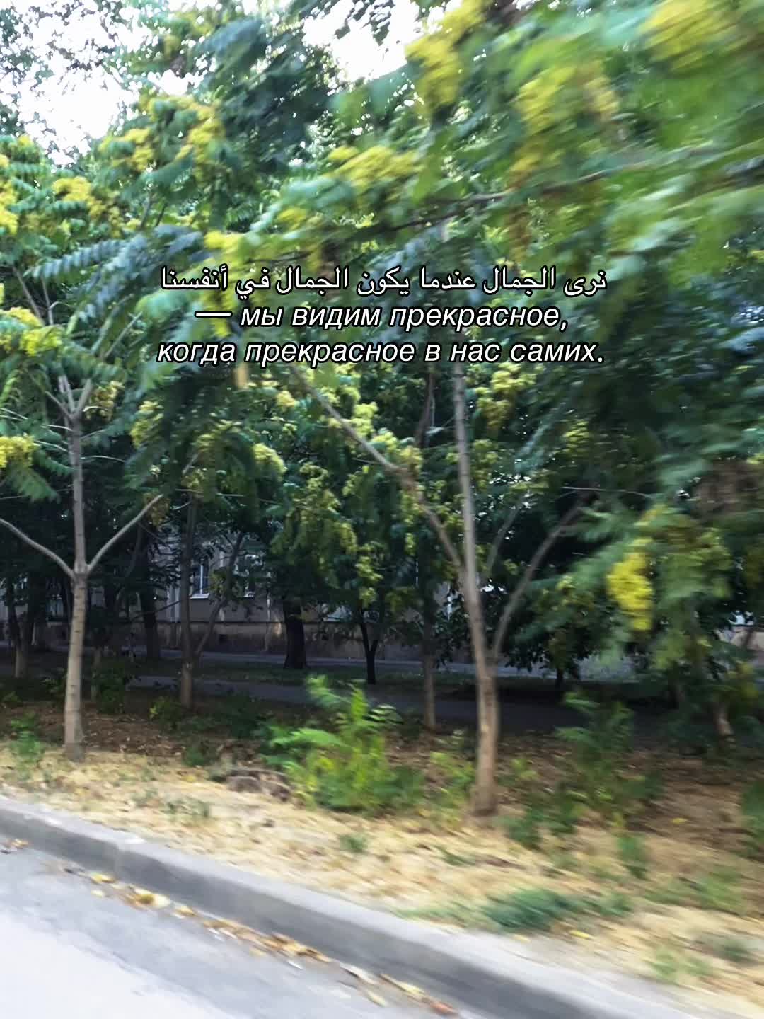 @Aisha🩹