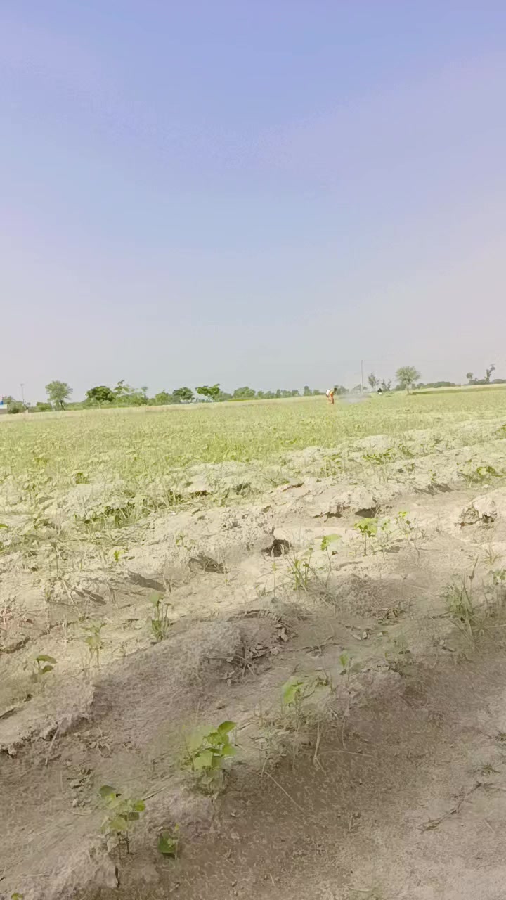 @ملنگ بابا