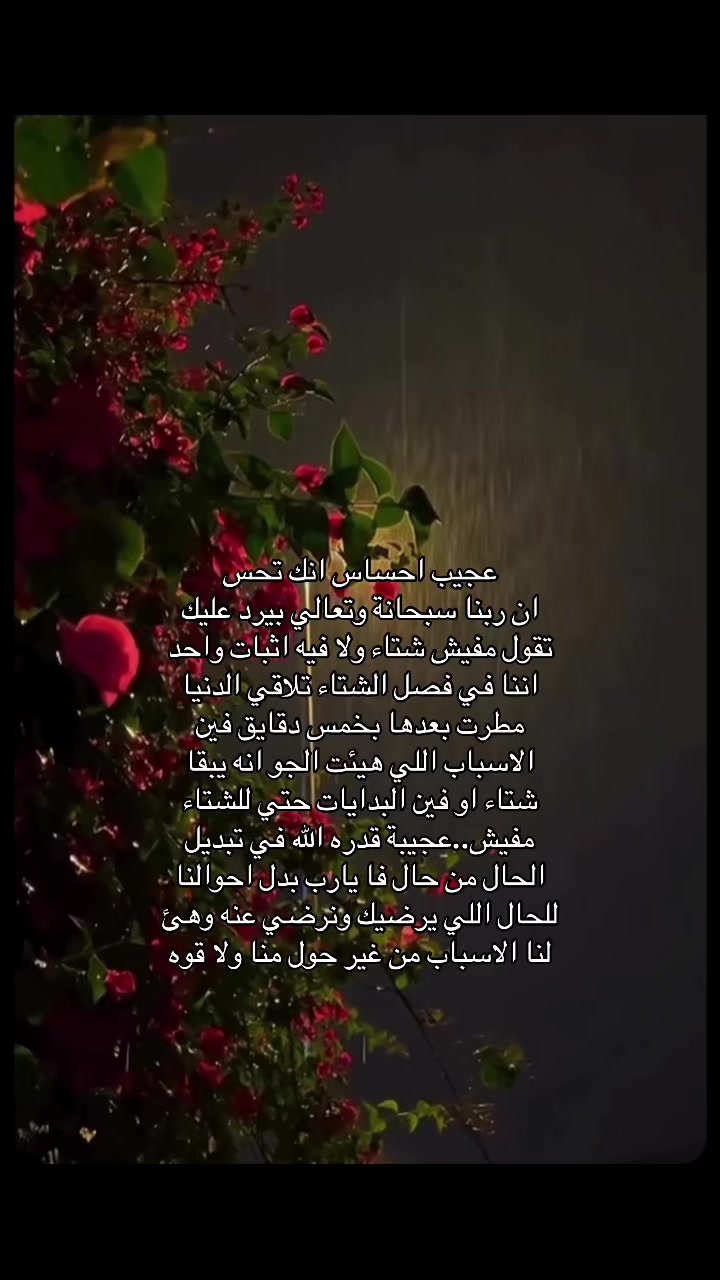 @Noura Srour