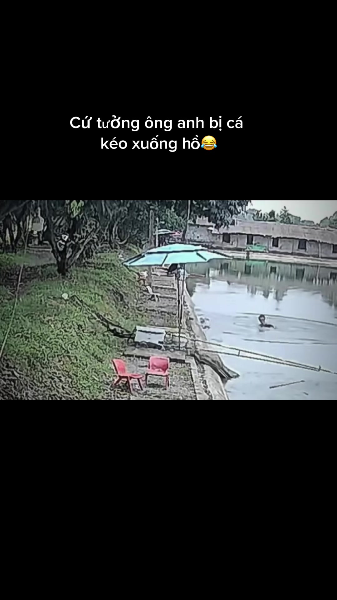 @Ngư D&acirc;n TikkTok