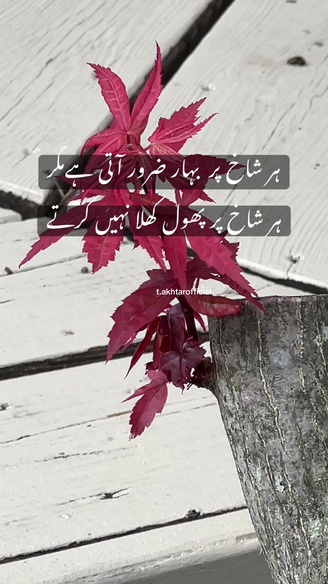 @T.Akhtar Official