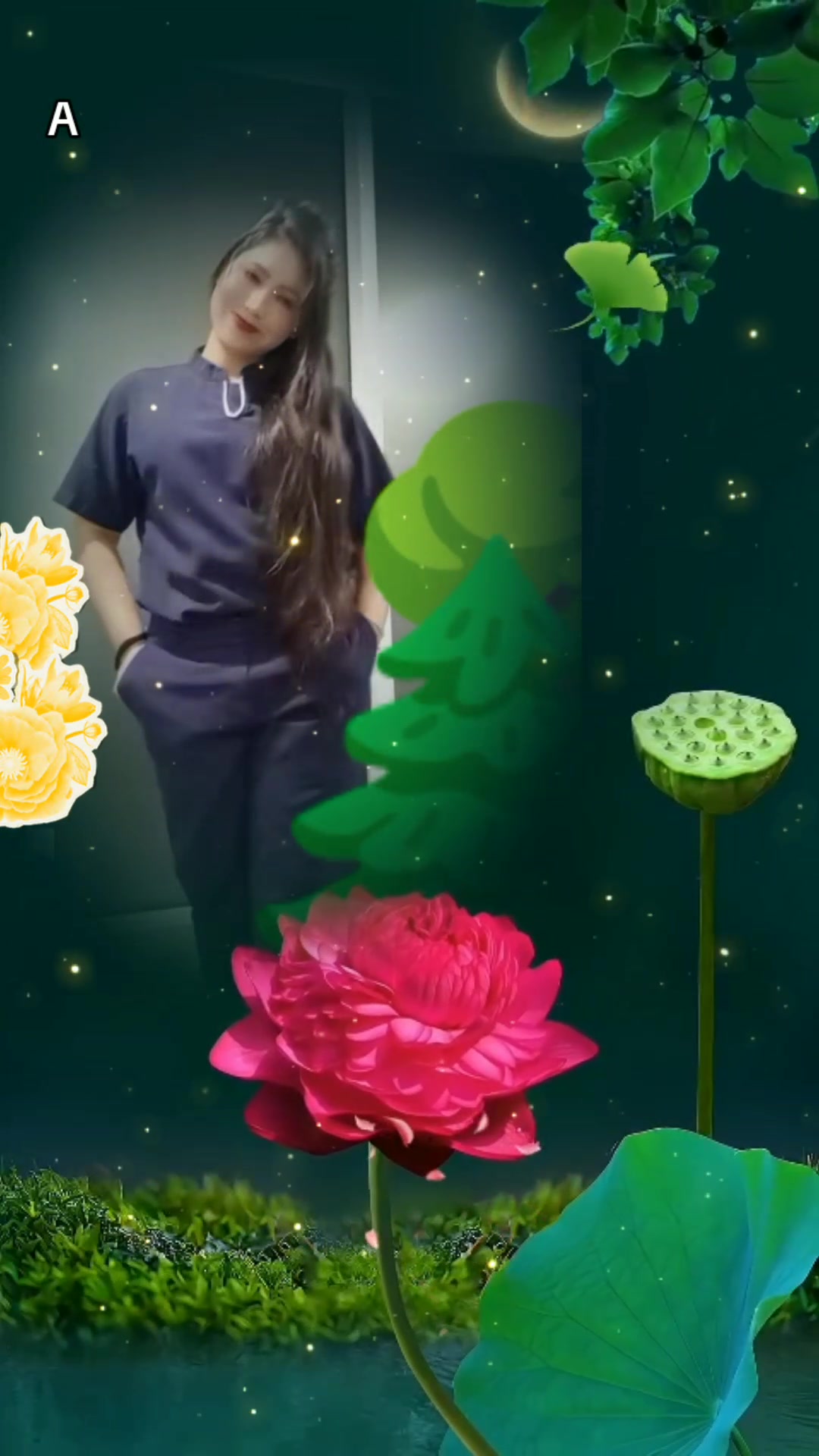 @Tulsha Thapa
