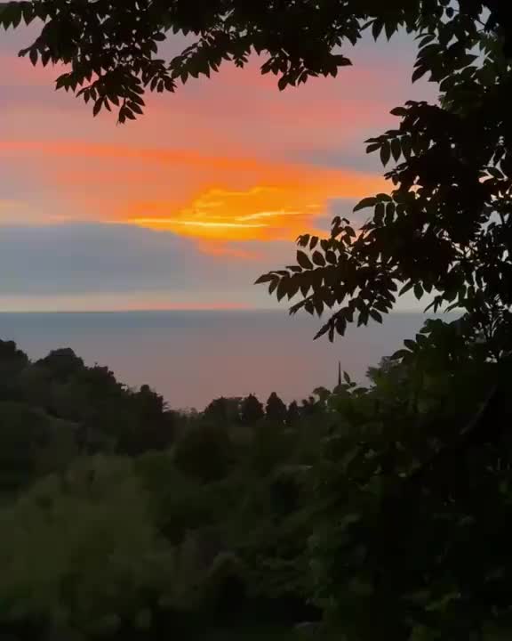 @𝓐𝓵𝓮𝓮𝓷𝓪 𝓲𝓺𝓫𝓪𝓵⋆🦋༘⋆