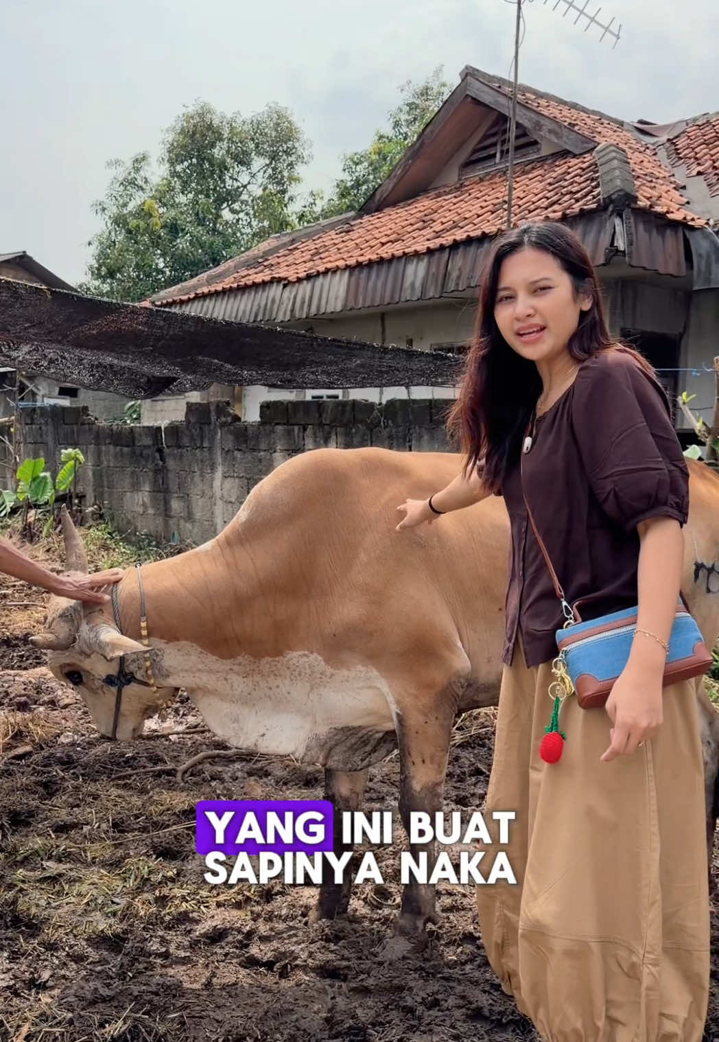 @Indah permatasari