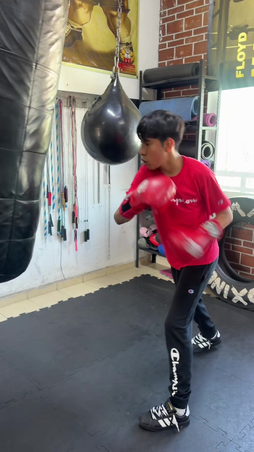 @Yonekura Boxing Club