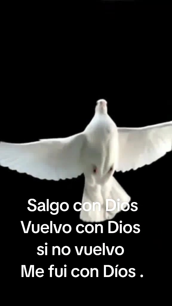 @lokillo