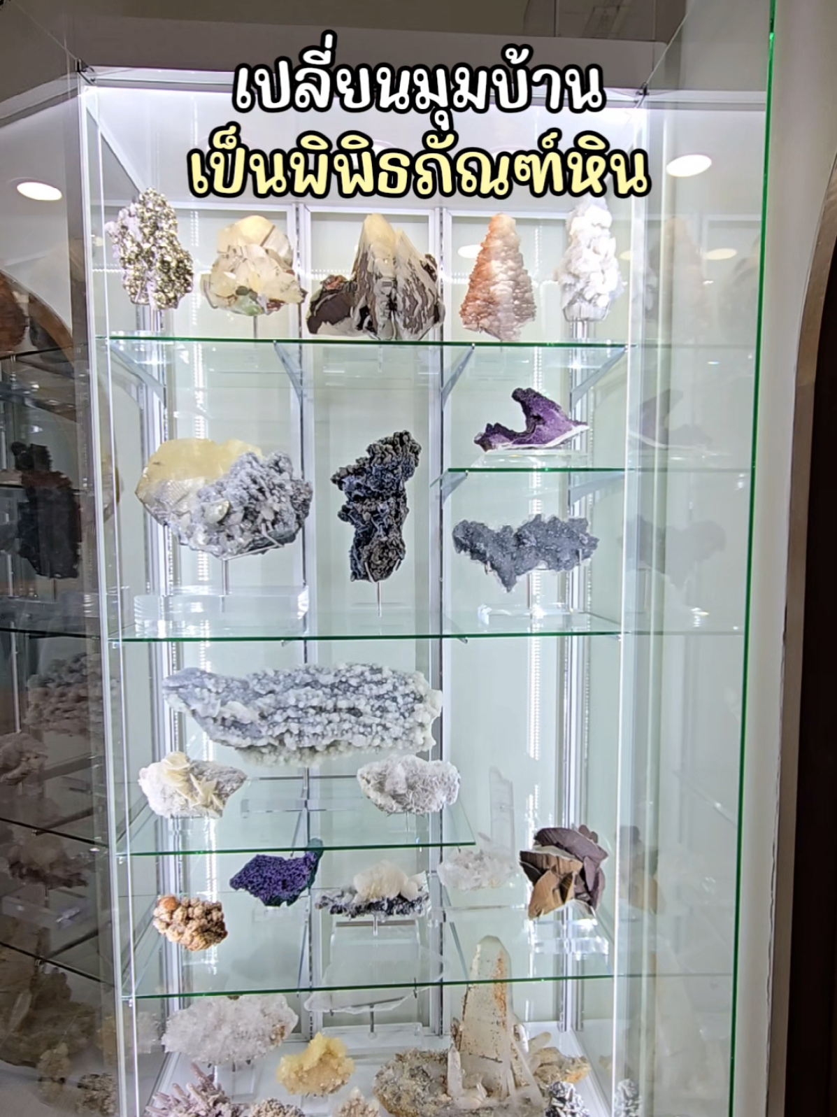 @มี้แอน LittleIng